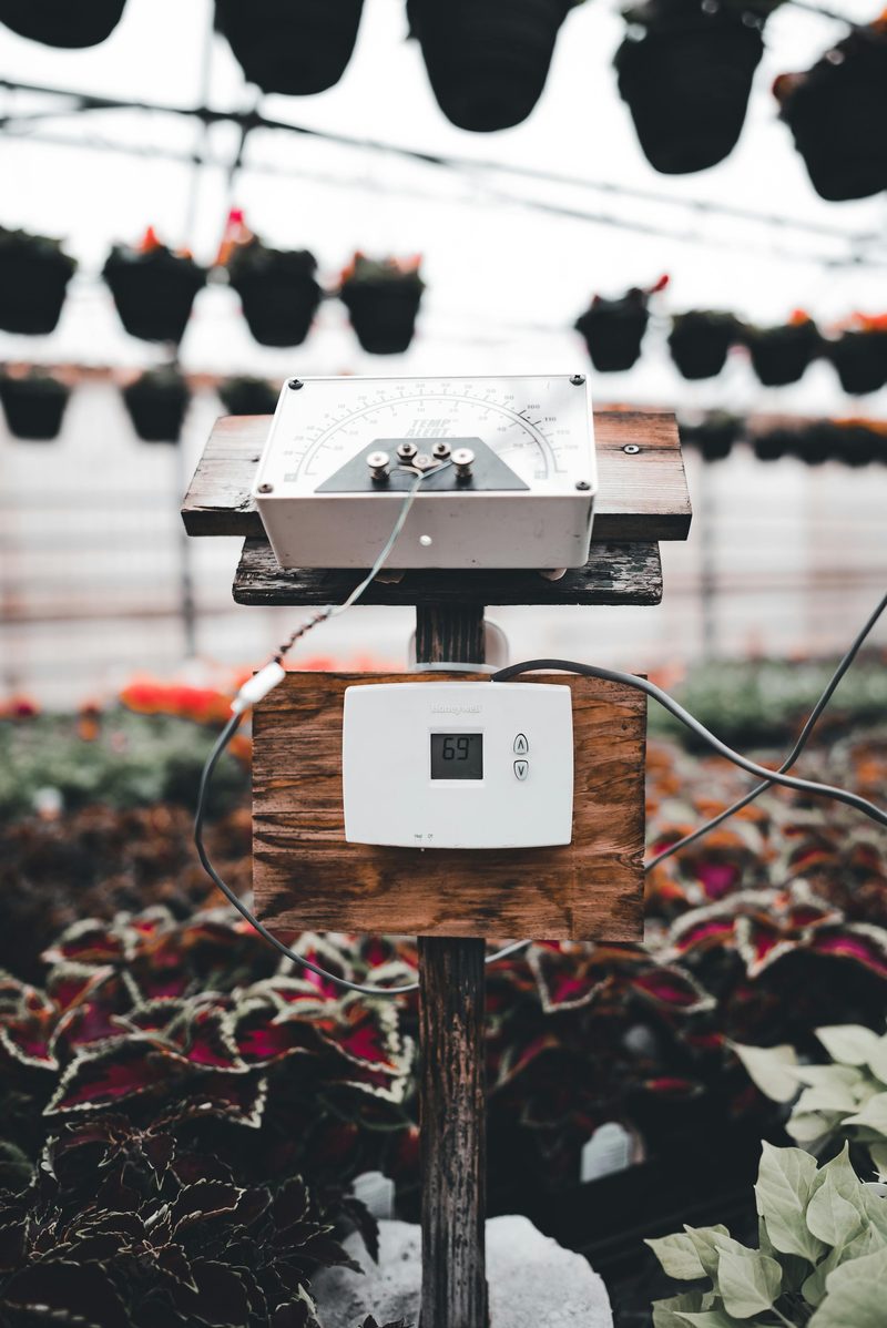 A garden sensor mounted on a post among planting