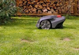 A robotic lawn mower cutting a garden lawn