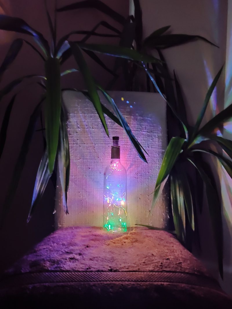 A garden lit with coloured lights at night
