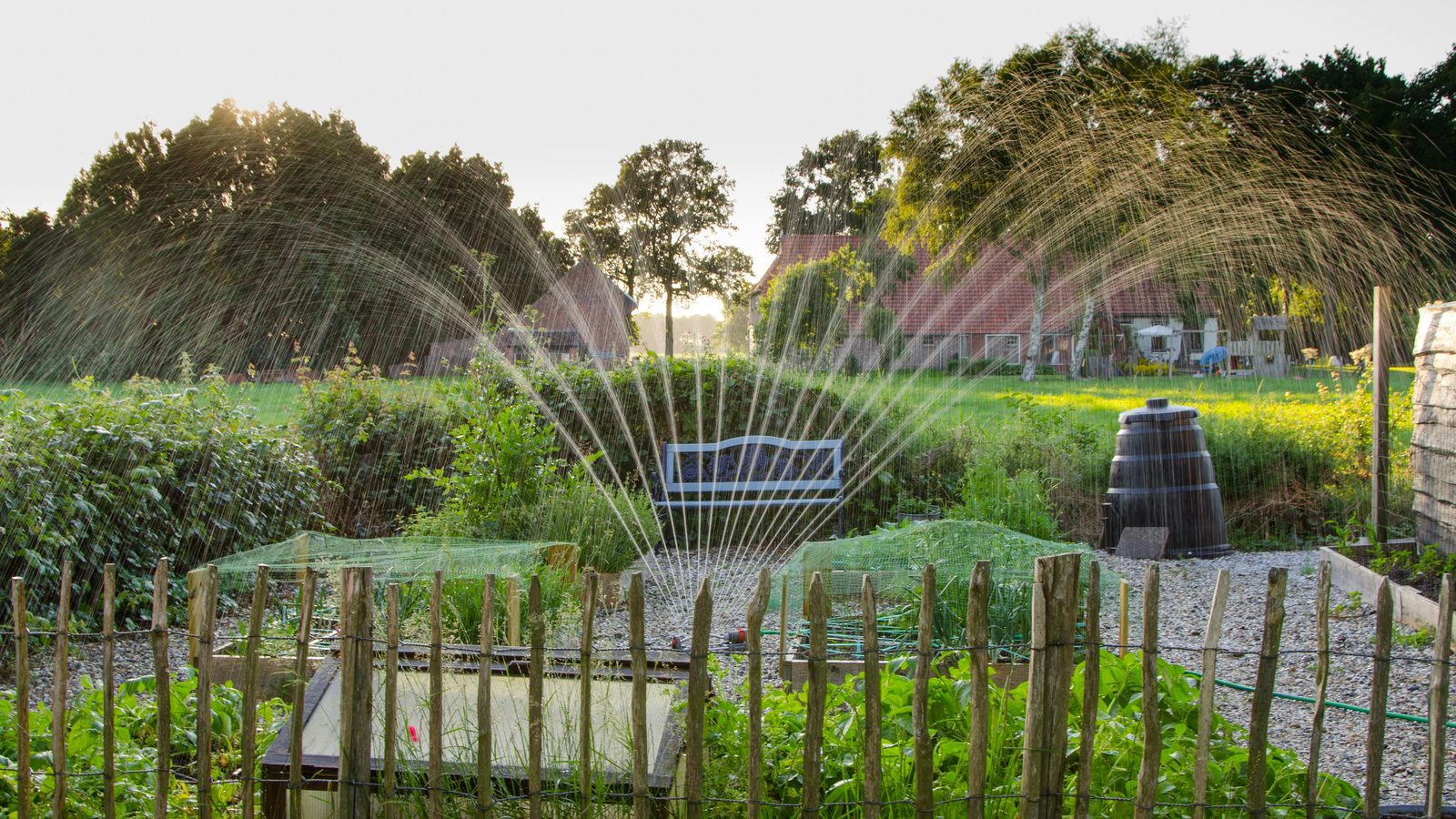 A sprinkler watering a vegetable garden
